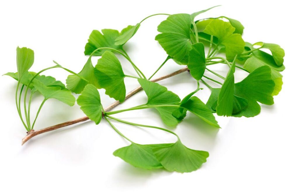 Ginkgo biloba Kapseln Insuvit